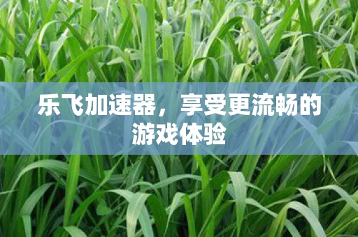 乐飞加速器，享受更流畅的游戏体验