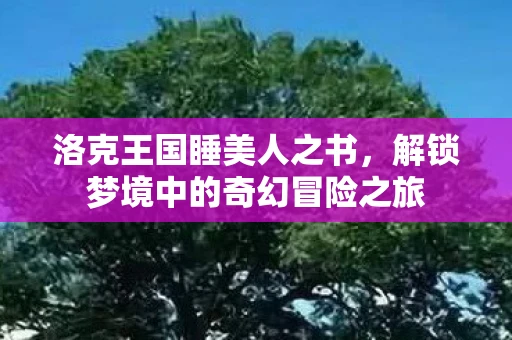 洛克王国睡美人之书，解锁梦境中的奇幻冒险之旅