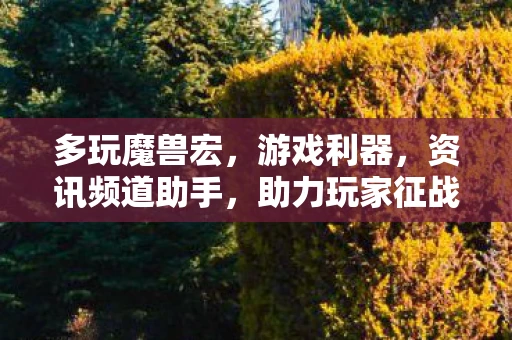 多玩魔兽宏，游戏利器，资讯频道助手，助力玩家征战艾泽拉斯大陆