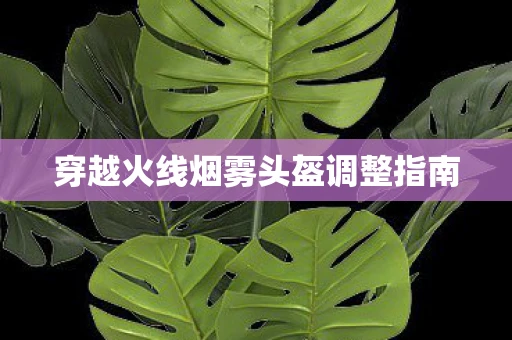 穿越火线烟雾头盔调整指南