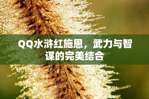 QQ水浒红施恩，武力与智谋的完美结合