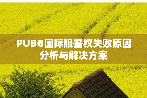 PUBG国际服鉴权失败原因分析与解决方案