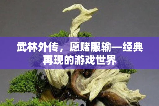武林外传，愿赌服输—经典再现的游戏世界
