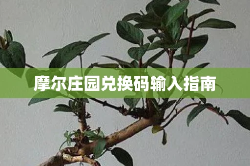 摩尔庄园兑换码输入指南