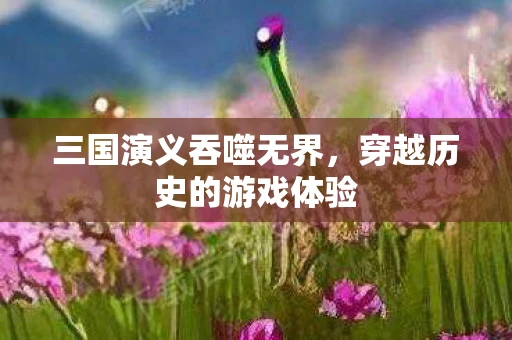三国演义吞噬无界，穿越历史的游戏体验