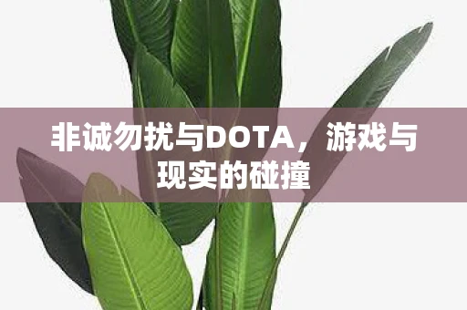 非诚勿扰与DOTA，游戏与现实的碰撞