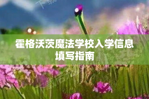 霍格沃茨魔法学校入学信息填写指南