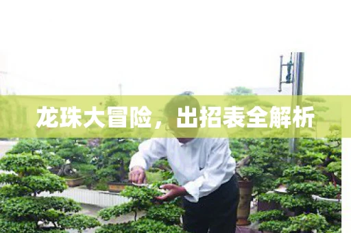 龙珠大冒险，出招表全解析