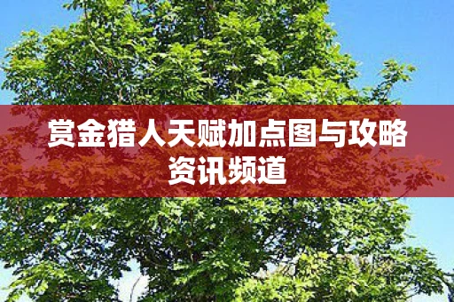 赏金猎人天赋加点图与攻略资讯频道