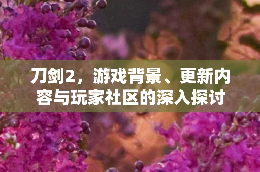 刀剑2，游戏背景、更新内容与玩家社区的深入探讨