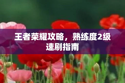 王者荣耀攻略，熟练度2级速刷指南