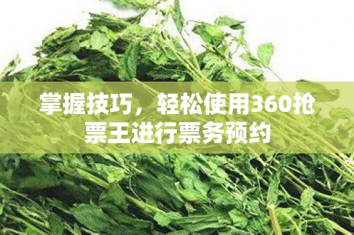 掌握技巧，轻松使用360抢票王进行票务预约