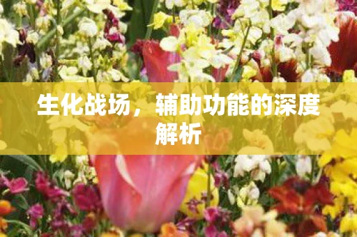 生化战场，辅助功能的深度解析