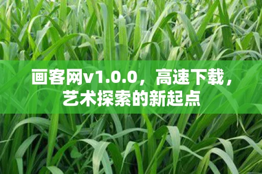 画客网v1.0.0，高速下载，艺术探索的新起点