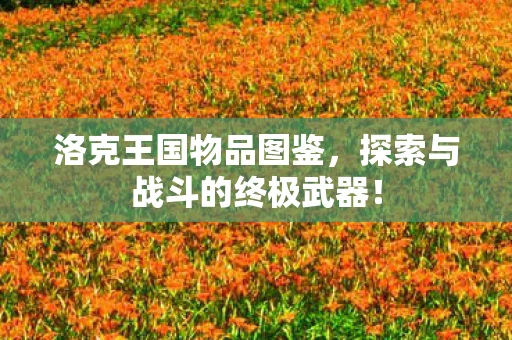 洛克王国物品图鉴，探索与战斗的终极武器！