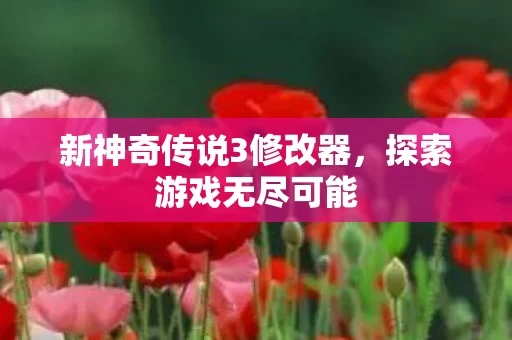 新神奇传说3修改器图片