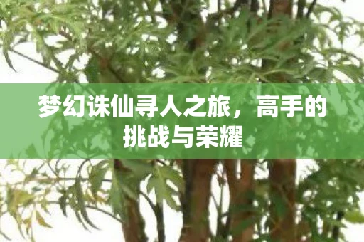 梦幻诛仙寻人之旅，高手的挑战与荣耀