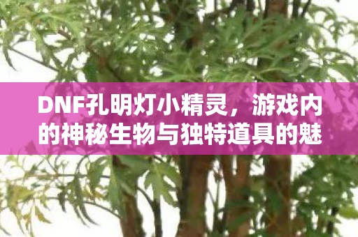 DNF孔明灯小精灵，游戏内的神秘生物与独特道具的魅力探索