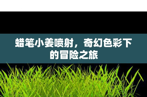 蜡笔小姜喷射，奇幻色彩下的冒险之旅