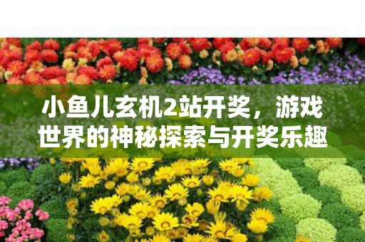 小鱼儿玄机2站开奖，游戏世界的神秘探索与开奖乐趣