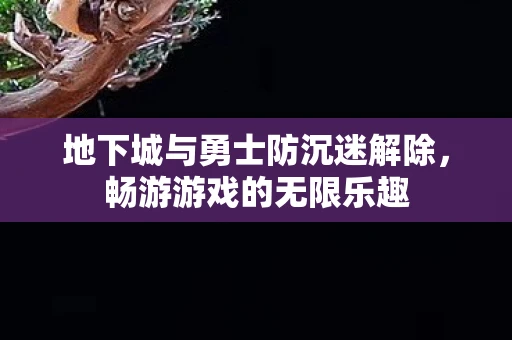 地下城与勇士防沉迷解除，畅游游戏的无限乐趣