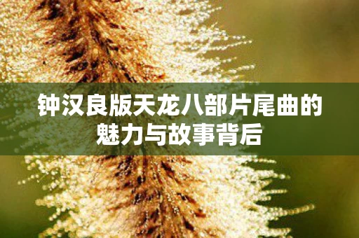钟汉良版天龙八部片尾曲的魅力与故事背后图片