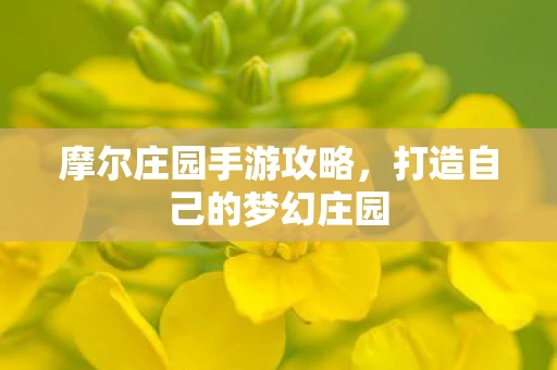 摩尔庄园手游攻略，打造自己的梦幻庄园