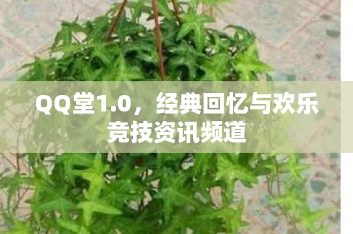 QQ堂1.0，经典回忆与欢乐竞技资讯频道
