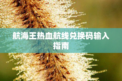 航海王热血航线兑换码输入指南