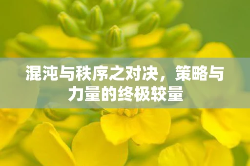 混沌与秩序之对决，策略与力量的终极较量