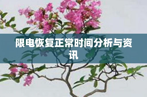 限电恢复正常时间分析与资讯