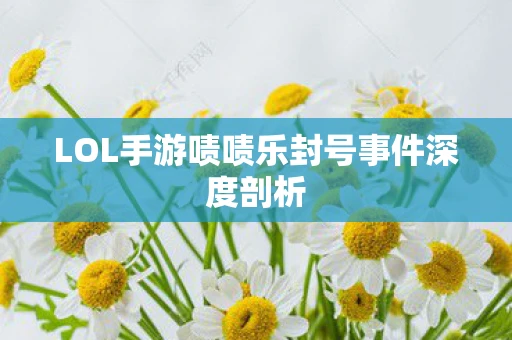 LOL手游啧啧乐封号事件深度剖析