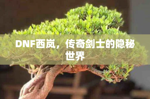 DNF西岚，传奇剑士的隐秘世界