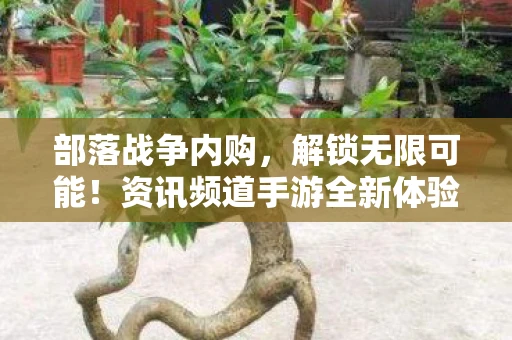 部落战争内购，解锁无限可能！资讯频道手游全新体验