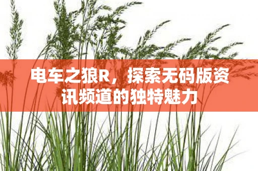 电车之狼R，探索无码版资讯频道的独特魅力