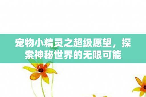 宠物小精灵之超级愿望，探索神秘世界的无限可能