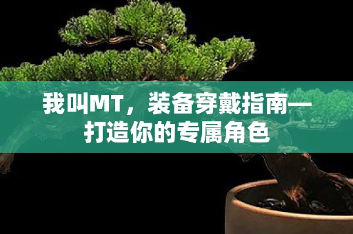我叫MT，装备穿戴指南—打造你的专属角色
