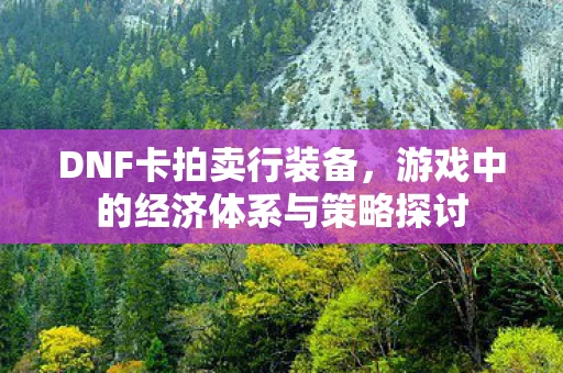 DNF卡拍卖行装备，游戏中的经济体系与策略探讨