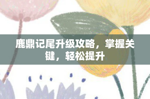 鹿鼎记尾升级攻略，掌握关键，轻松提升