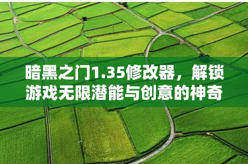 暗黑之门1.35修改器，解锁游戏无限潜能与创意的神奇钥匙