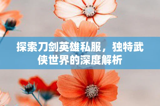 探索刀剑英雄私服，独特武侠世界的深度解析