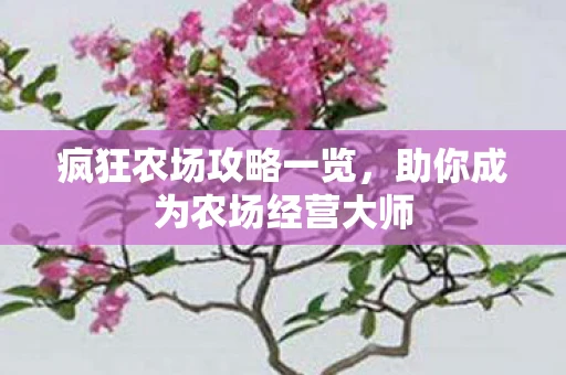 疯狂农场攻略一览，助你成为农场经营大师