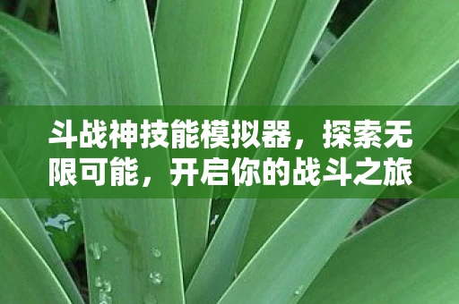 斗战神技能模拟器，探索无限可能，开启你的战斗之旅