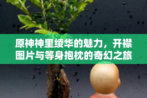 原神神里绫华的魅力，开襟图片与等身抱枕的奇幻之旅