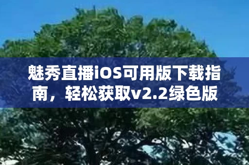 魅秀直播iOS可用版下载指南图片