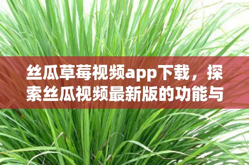 探索丝瓜视频最新版的功能与魅力图片