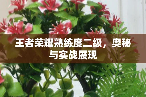 王者荣耀熟练度二级，奥秘与实战展现