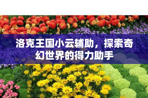 洛克王国小云辅助，探索奇幻世界的得力助手