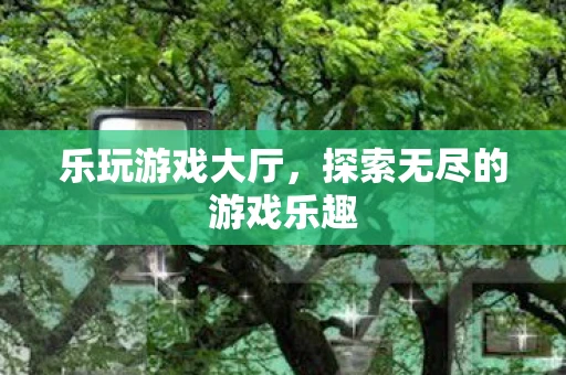 乐玩游戏大厅，探索无尽的游戏乐趣