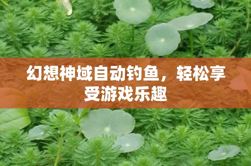 幻想神域自动钓鱼，轻松享受游戏乐趣